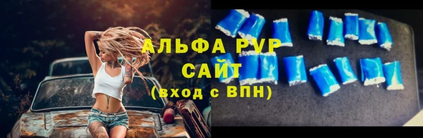 хмурый Белокуриха