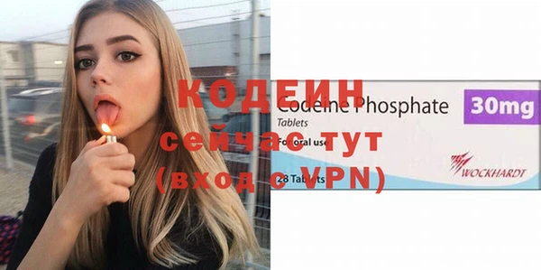 хмурый Белокуриха