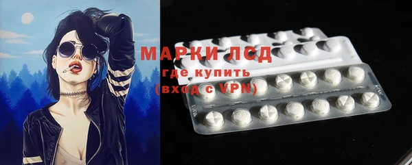 хмурый Белокуриха