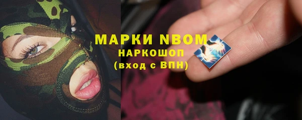 хмурый Белокуриха