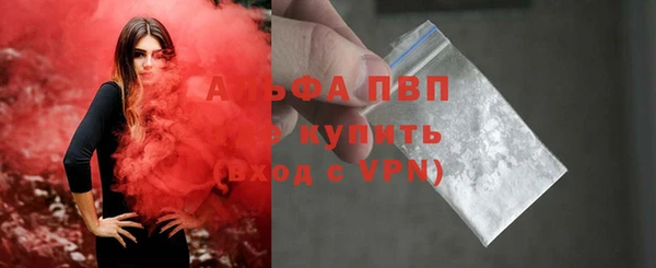 хмурый Белокуриха