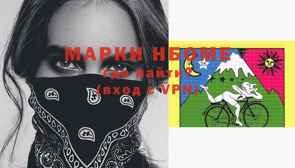 хмурый Белокуриха