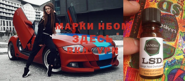 хмурый Белокуриха