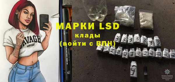 хмурый Белокуриха