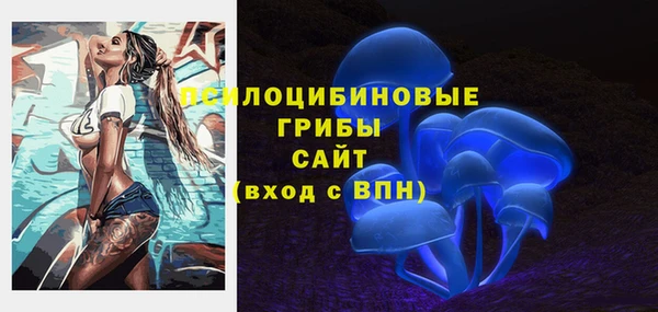 хмурый Белокуриха